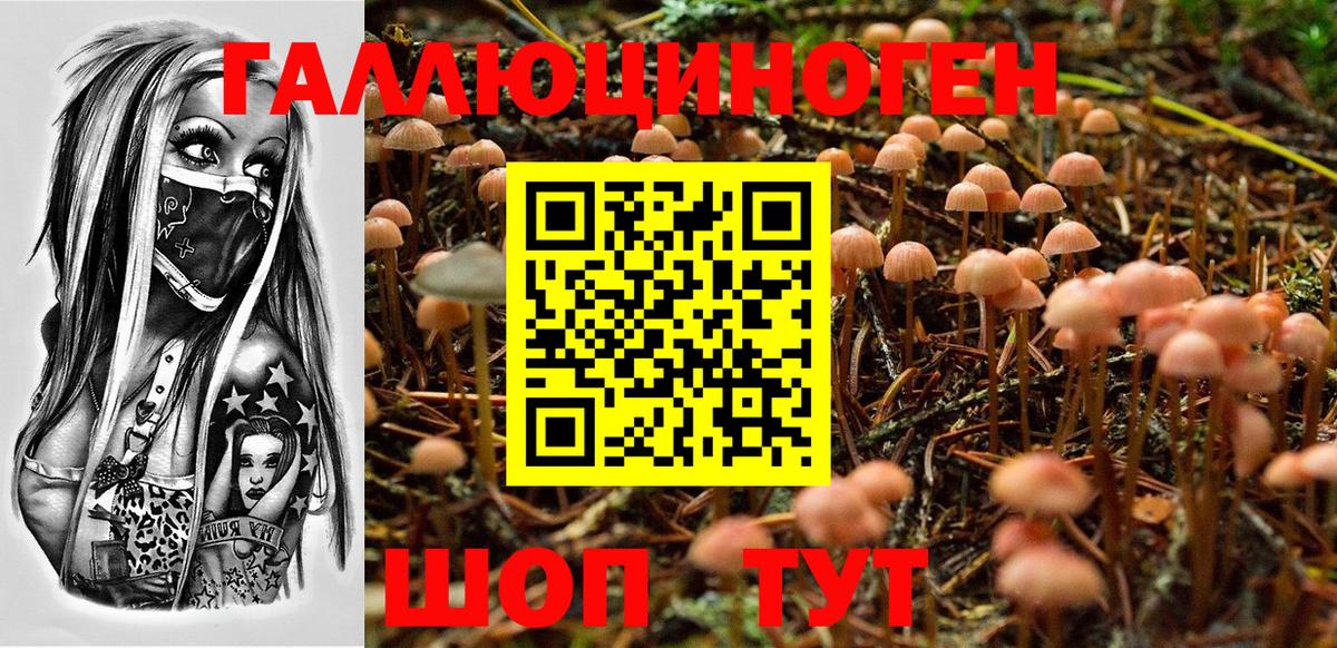 Псилоцибиновые грибы Psilocybine cubensis  Псилоцибиновые грибы Psilocybe  Вход с VPN  Кувандык 