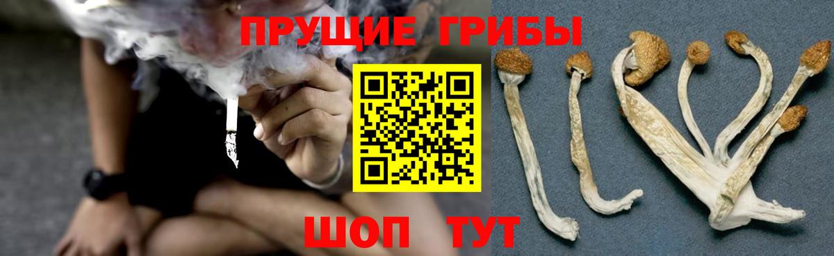 Псилоцибиновые грибы мухоморы Кувандык